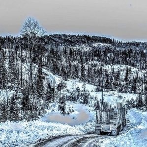 Meet your Posher, Beverly